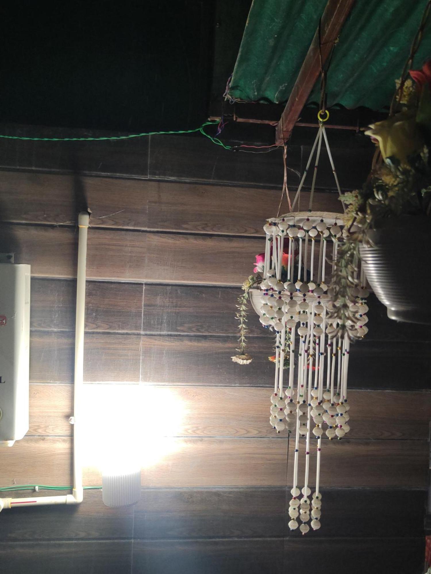 The Green House Impact Jodhpur  Luaran gambar