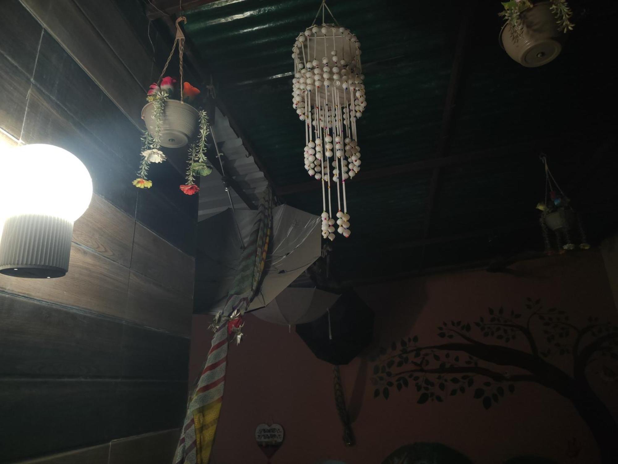 The Green House Impact Jodhpur  Luaran gambar